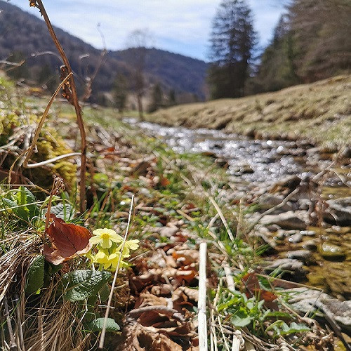 🌿 Frühlingszeit ist Auszeit im Lenzenhof