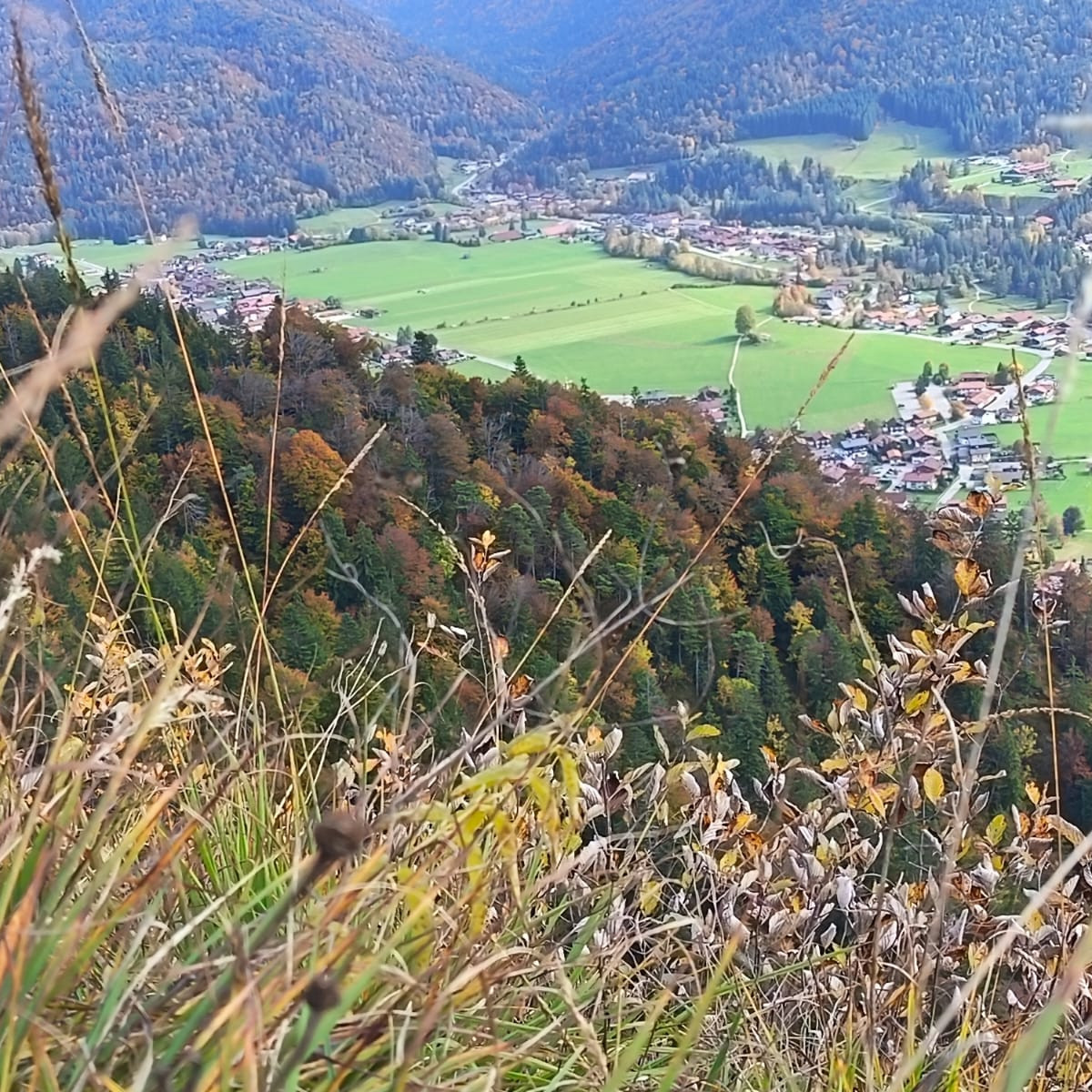 🌿 Wenn wir unterwegs sind …