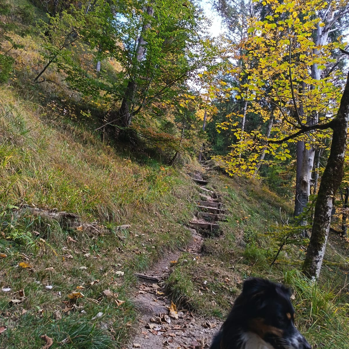 🌿 Wenn wir unterwegs sind …