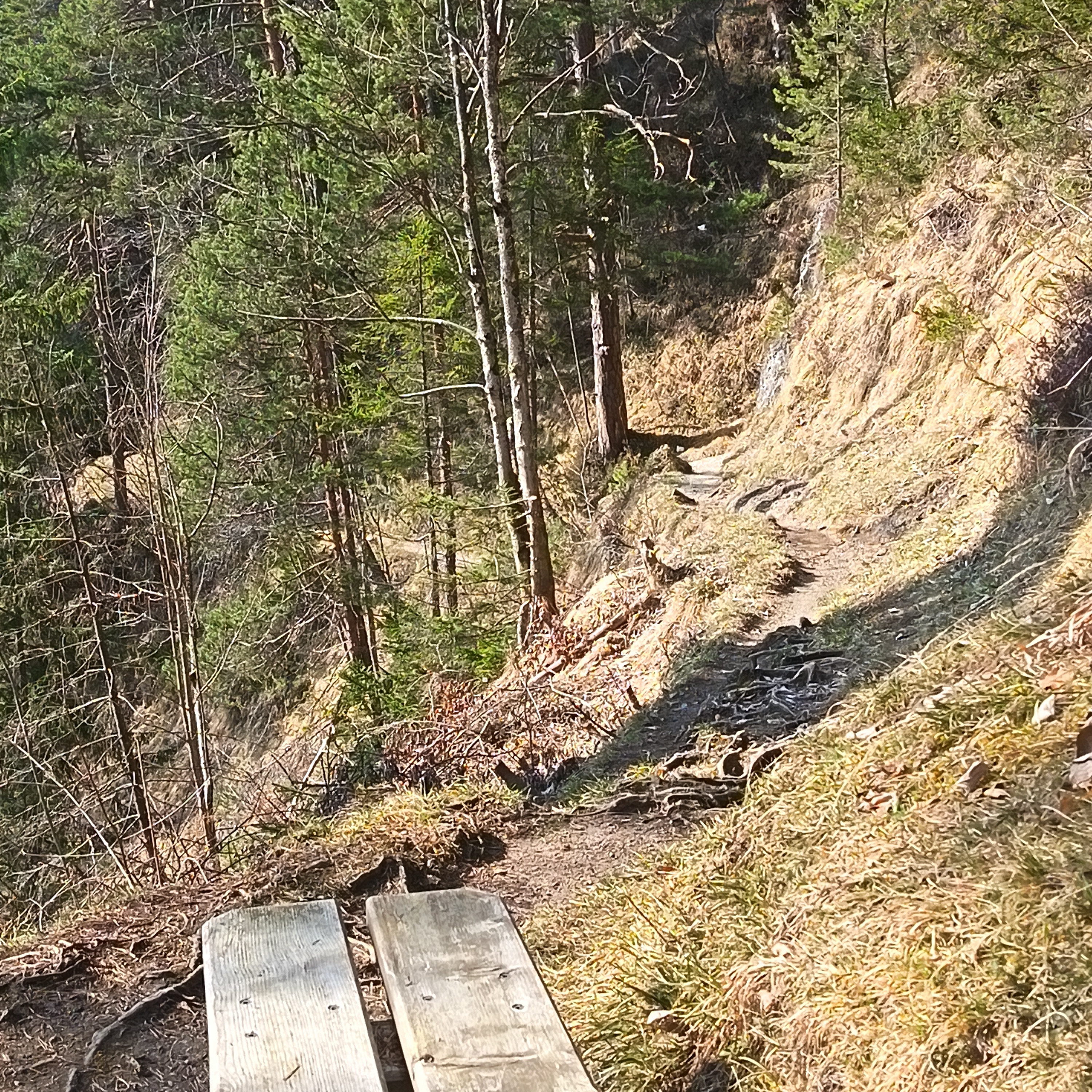 Frühling weckt die Lebensfreude.