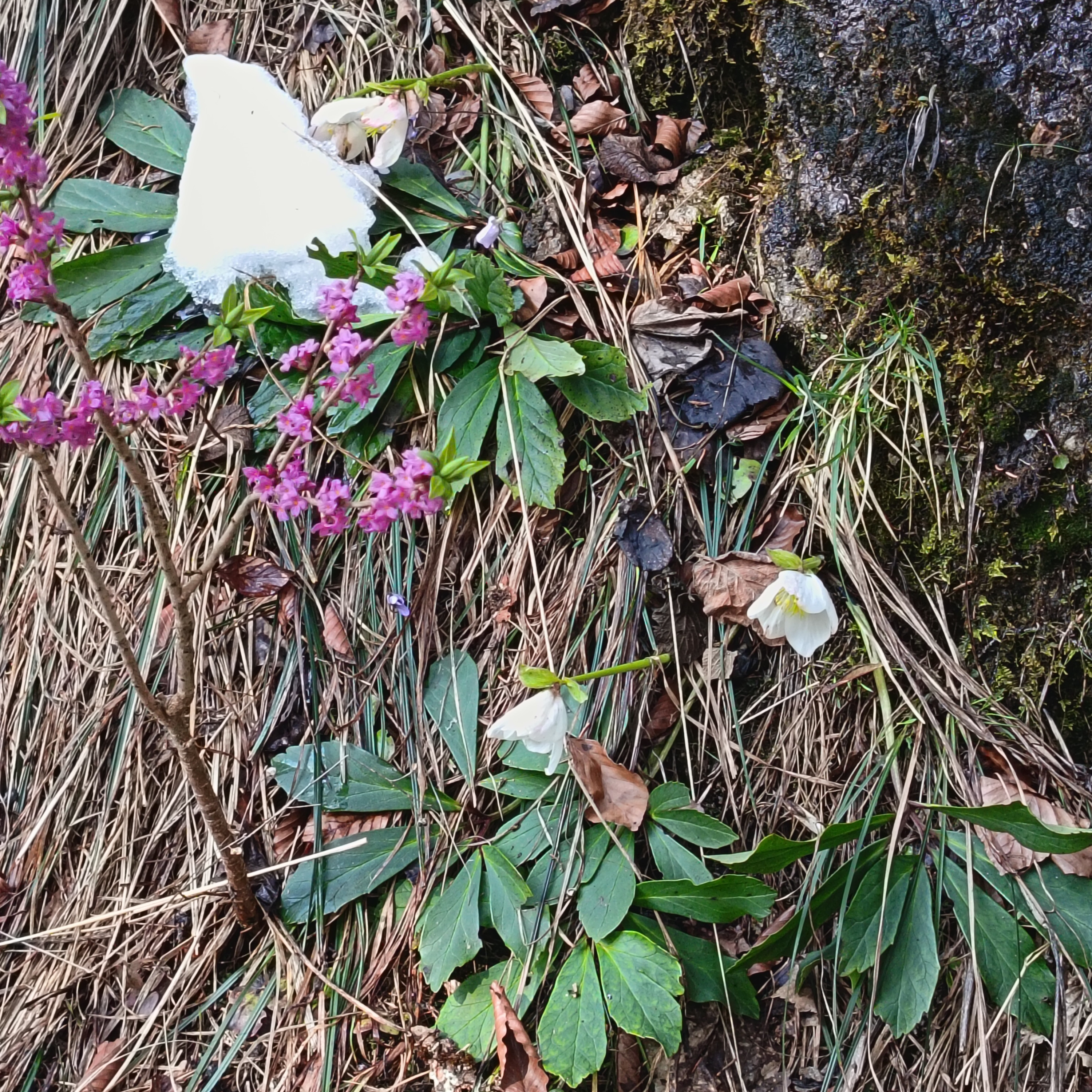 Frühling weckt die Lebensfreude.
