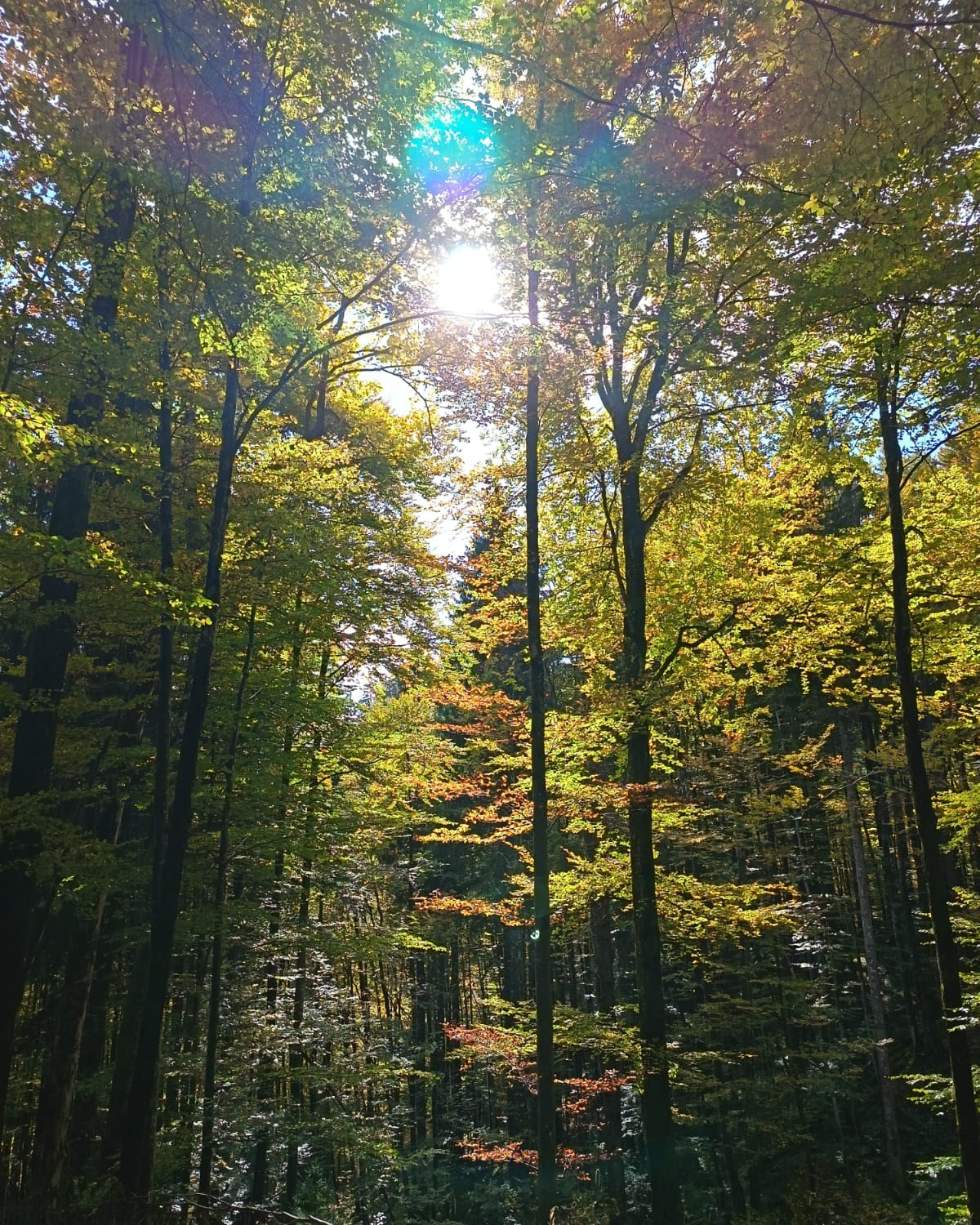 Herbstgefühle